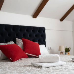 Фрушкогорски ђерам (5).jpg