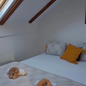 Фрушкогорски ђерам (6).jpg