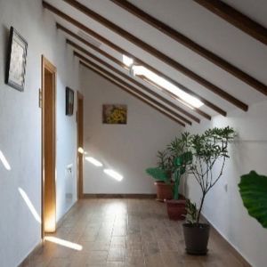 Фрушкогорски ђерам (2).jpg