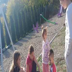 Фрушкогорски ђерам (12).jpg