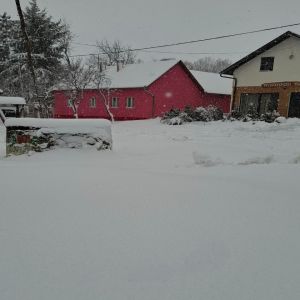 Фрушкогорски ђерам (10).jpg